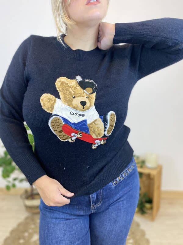 Pull nounours skateboard (différents coloris)